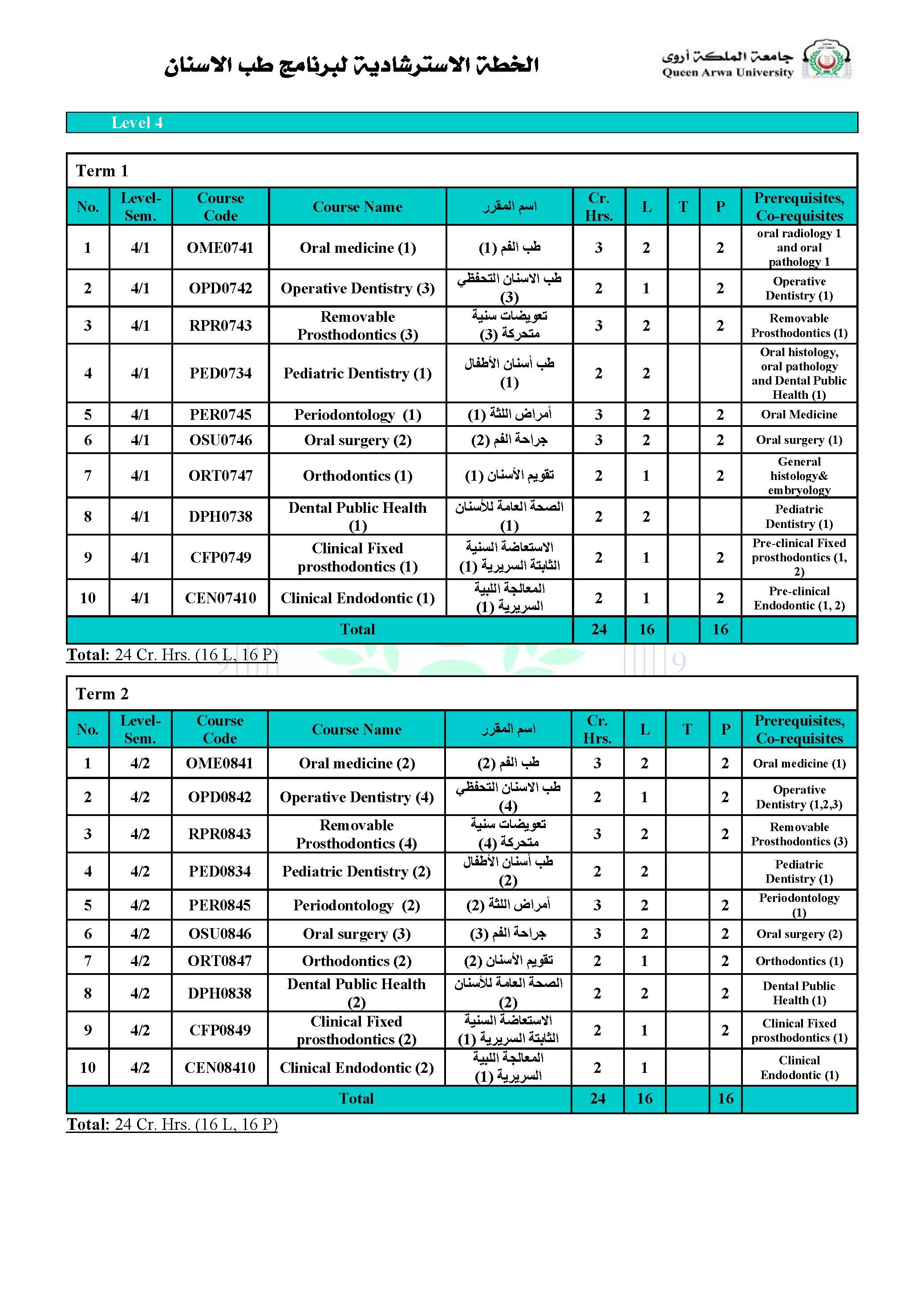 Dentistry Program