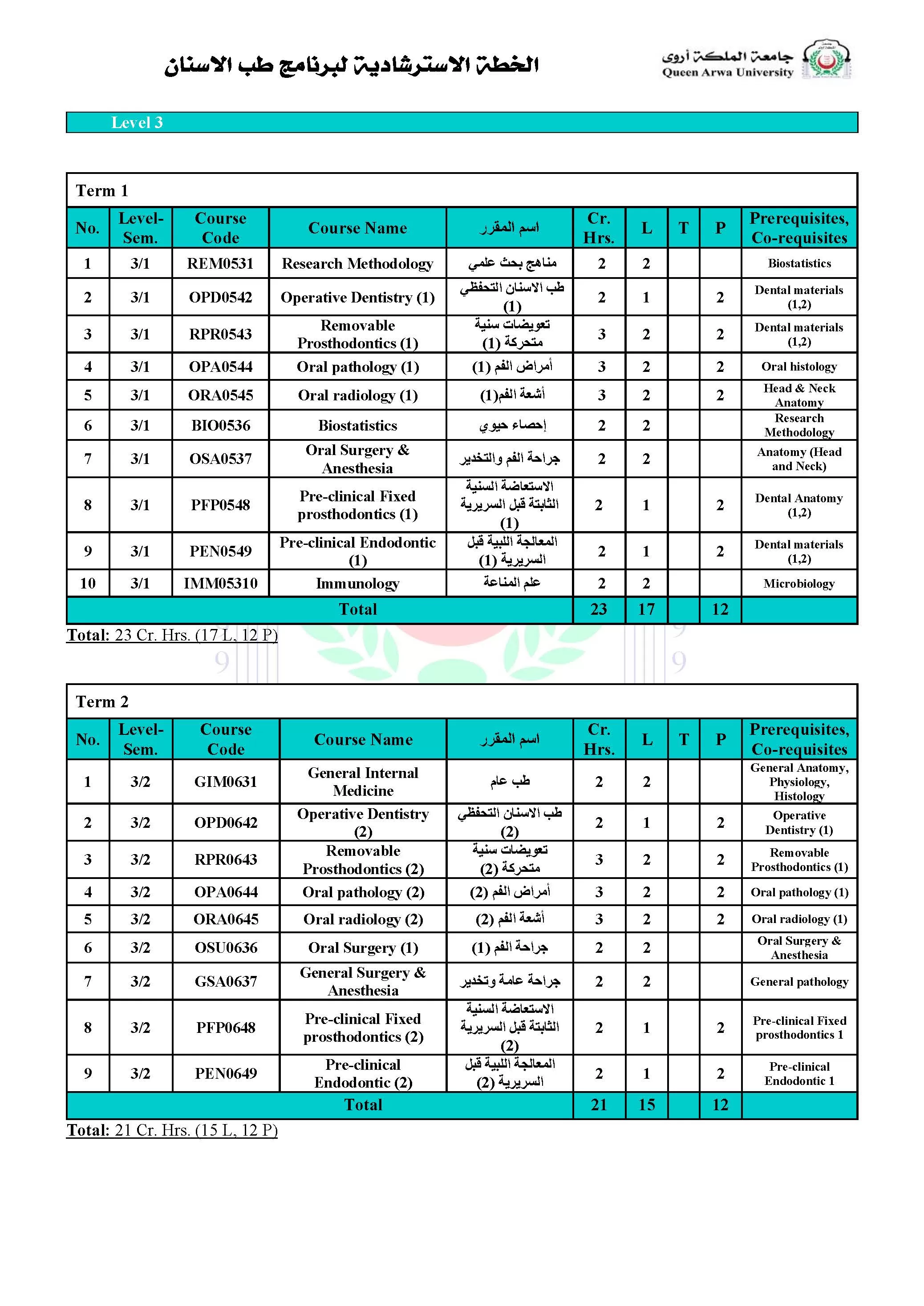 Dentistry Program