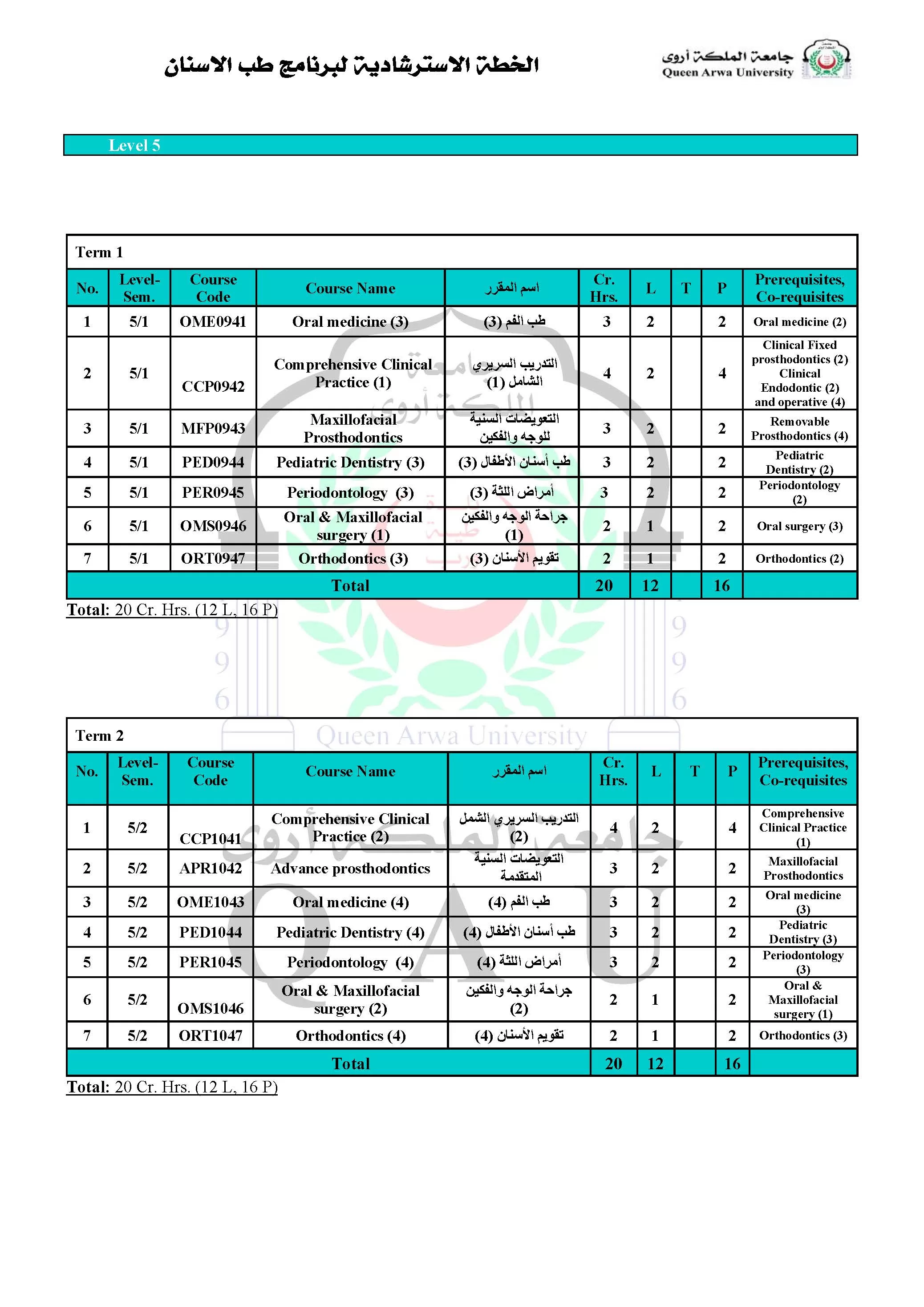 Dentistry Program