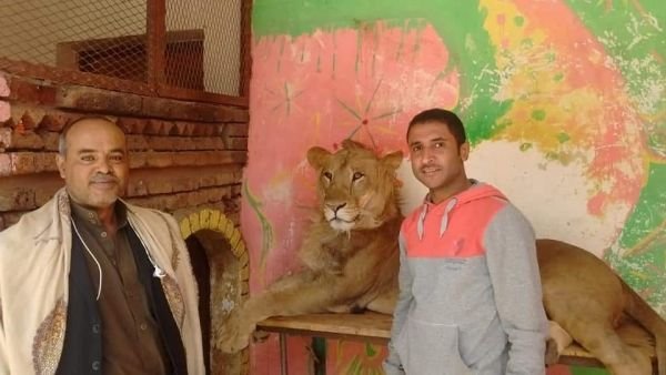 حديقة الحيوان بصنعاء تصارع من أجل البقاء