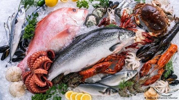 مأكولات بحرية مفيدة صحيا وصديقة للبيئة والمناخ.. تعرف عليها