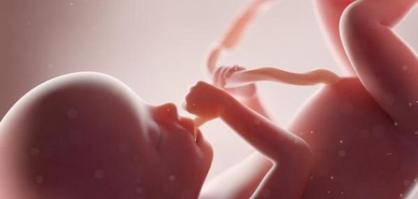 دراسة: الأطفال في رحم الأمهات يتفاعلون مع النكهات المختلفة