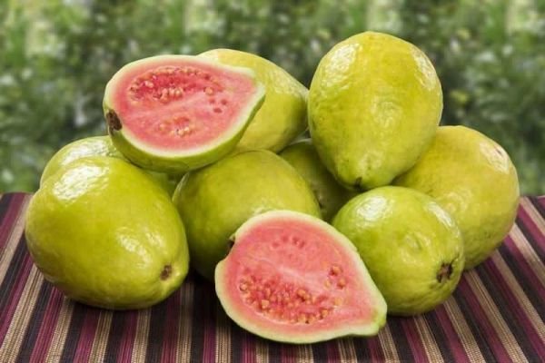 سبع فوائد صحية مذهلة للجوافة ستدفعك لتناولها يوميا