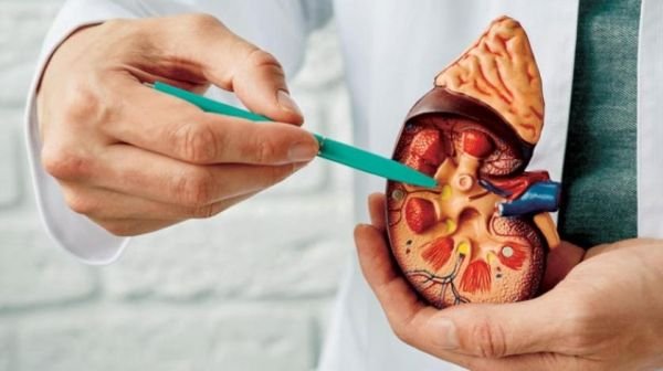 خمسة أسباب تعزز مخاطر الإصابة بحصوات الكلى.. تعرف عليها