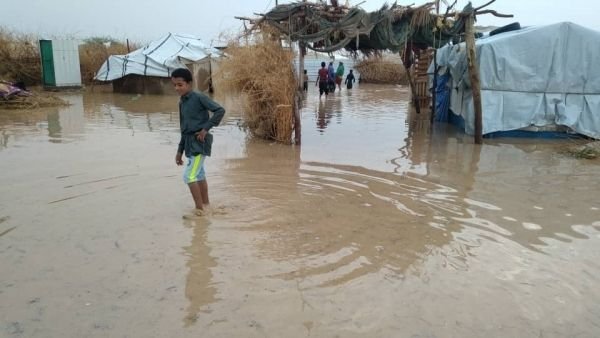 دراسة: التغير المناخي يفاقم خطر الأوبئة