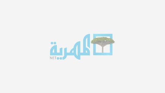 الولايات المتحدة..نسبة البيض بين السكان تسجل أدنى معدل لها