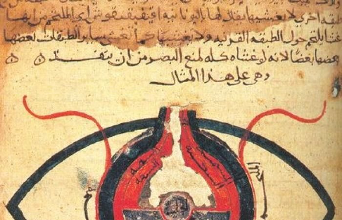 «شمس الله تسطع على الغرب».. كيف طوّر المسلمون الطب ومنحوه للعالم بالمجان؟