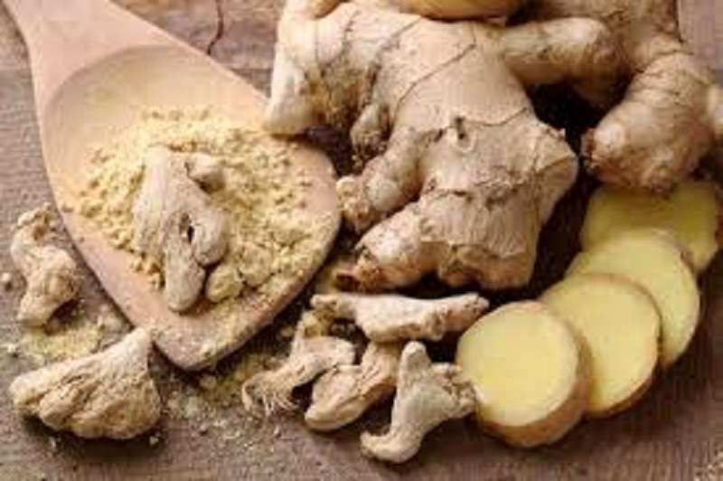للحفاظ على صحتك كليتيك.. عليك بهذه الأعشاب