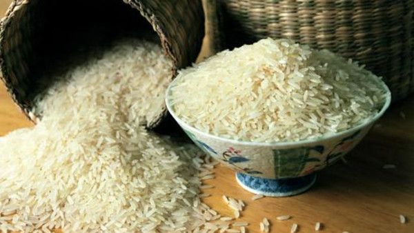 عالم صيني يبتكر طريقة زراعة الأرز بالمياه المالحة - صحيفة الجامعة