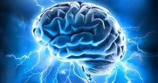 دراسة: الإهانات تحفز نشاط الدماغ أكثر من المجاملات - صحيفة الجامعة