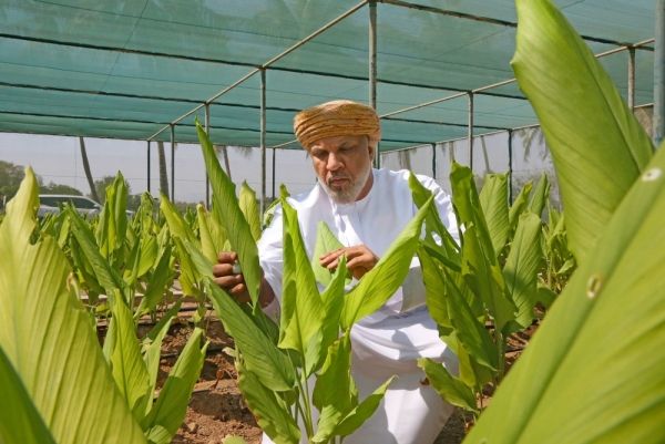 انطلاق مؤتمر عمان الدولي السابع لسلامة وجودة الغذاء الاثنين المقبل - صحيفة الجامعة