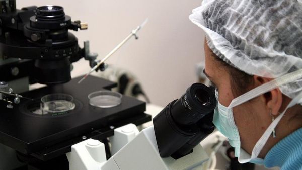 علماء بريطانيون يستخدمون تقنية جديدة لدراسة النمو المبكر للإنسان - صحيفة الجامعة