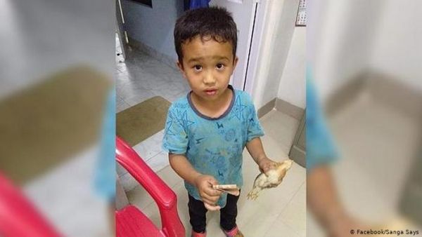 طفل يدهس بدراجته فرخ دجاج بالخطأ ويهرع به إلى المستشفى - صحيفة الجامعة