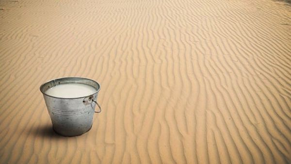 ماهي فوائد حليب الإبل لمرض السكري؟ - صحيفة الجامعة