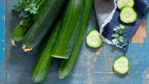 تعرف على فوائد "الخيار"في فصل الصيف - صحيفة الجامعة