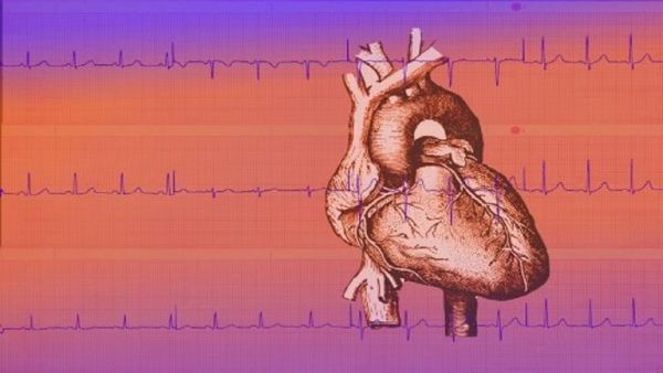 ماهي أسباب خفقان القلب؟ - صحيفة الجامعة