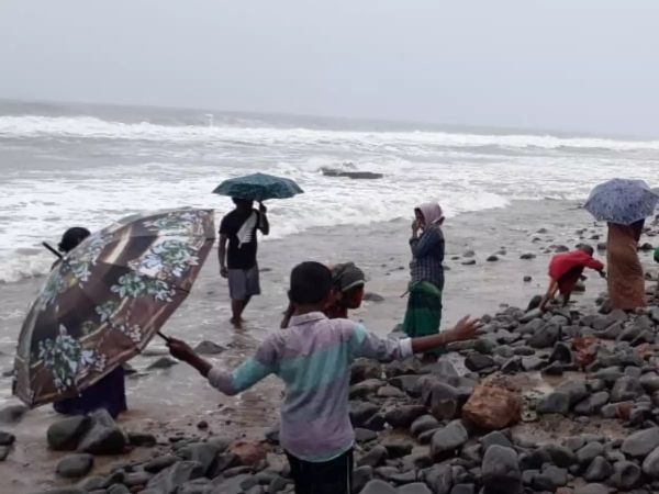 البحر يقذف "ذهبا" على شواطئ قرية هندية   - صحيفة الجامعة